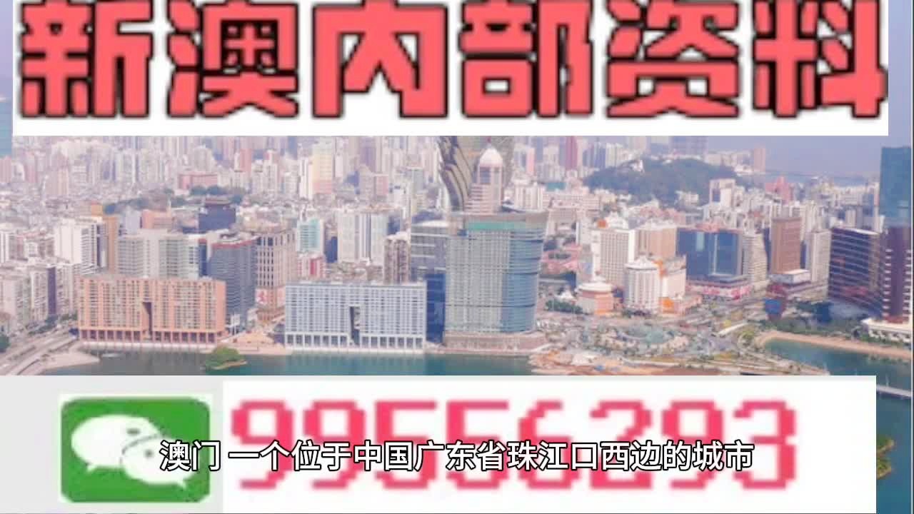 2025精准资料大全免费与新澳门精准免费大全，详细解答、解释与落实